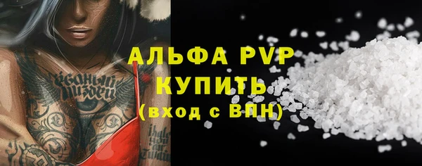 сатива Белокуриха
