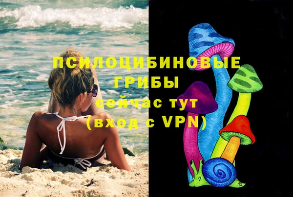 сатива Белокуриха