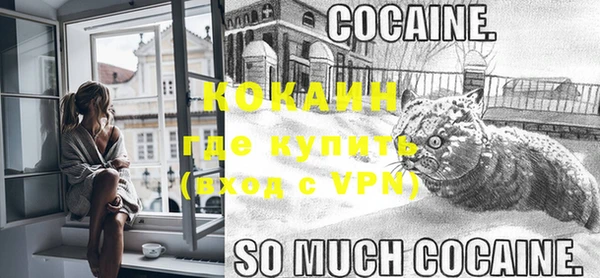 сатива Белокуриха