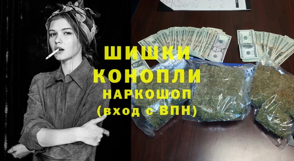 сатива Белокуриха
