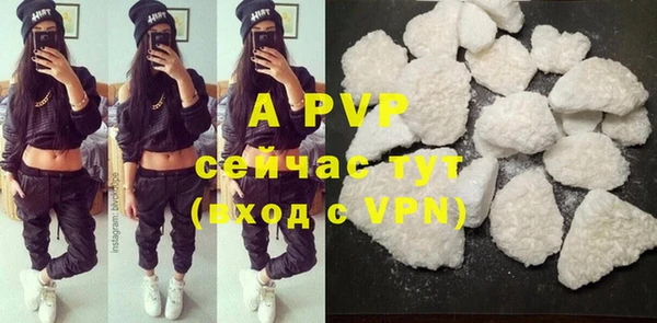 сатива Белокуриха