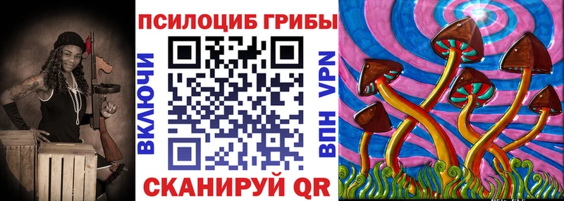 где найти   Нестеров  кракен ССЫЛКА  Псилоцибиновые грибы Magic Shrooms 